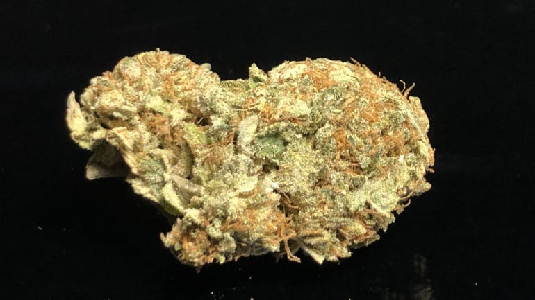 87305477__25_AT_1425_-_PINK_BUBBA_JULY2020