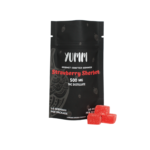 Yumm Gourmet Strawberry Sherbet