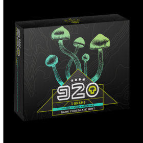 Room 920 Dark Chocolate Mint Bar