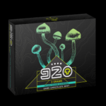 Room 920 Dark Chocolate Mint Bar