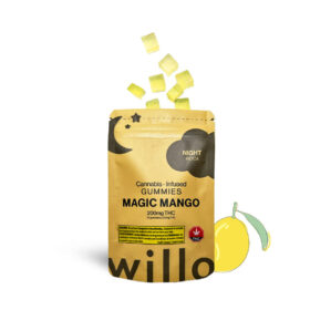WILLO  - Magic Mango