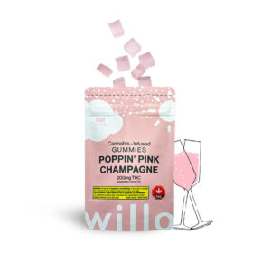 WILLO - Pink Champagne