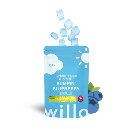 WILLO - Bumpin' Blueberry