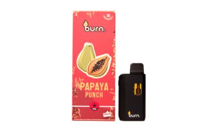 BURN - Papaya Punch - 3G