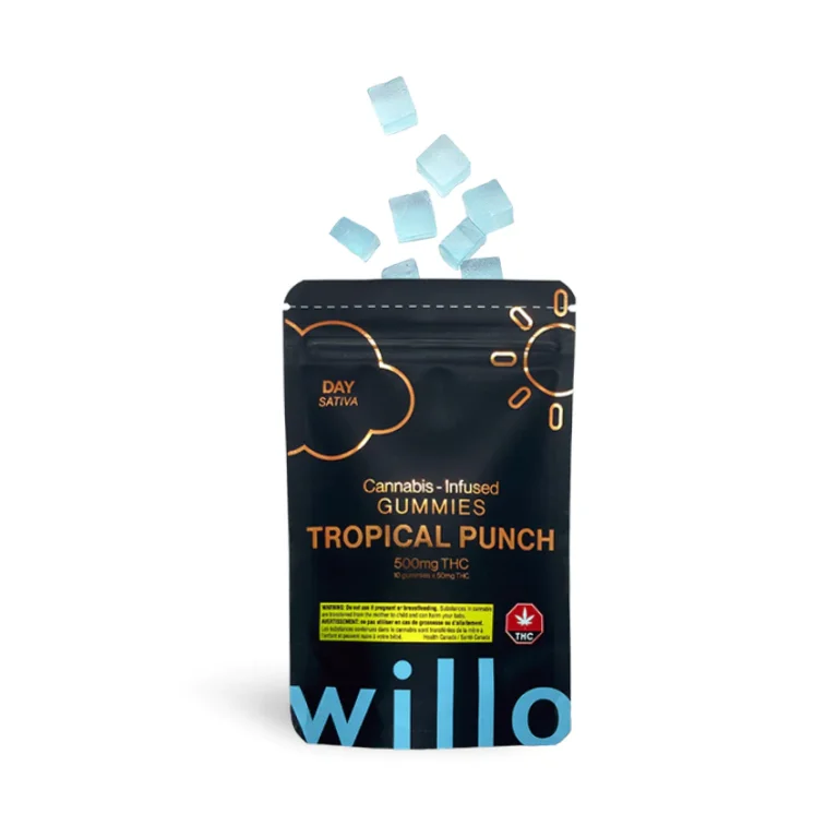 WILLO  - TROPICAL PUNCH