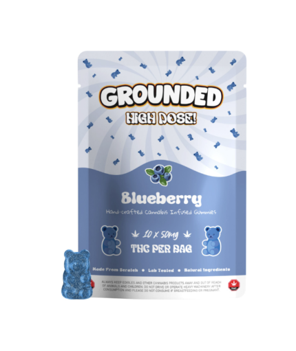 Grounded High Dose 500mg - Blueberry