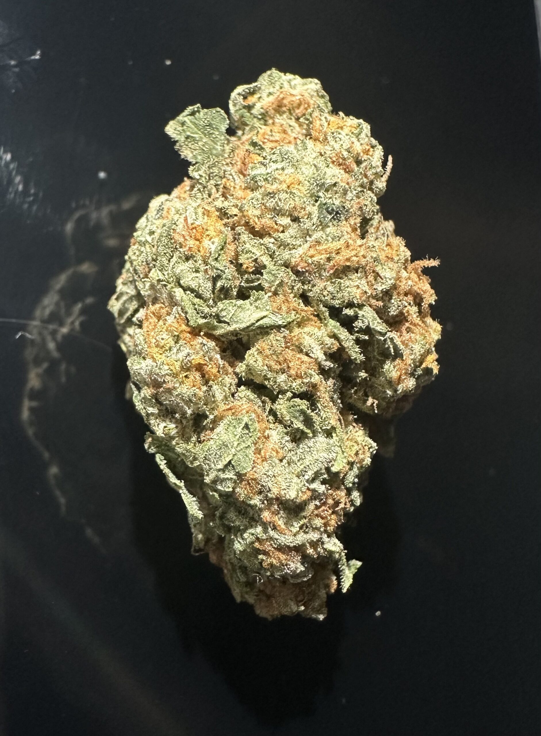 DURBANPOISONNOV2025 DURBAN POISON - Image 1