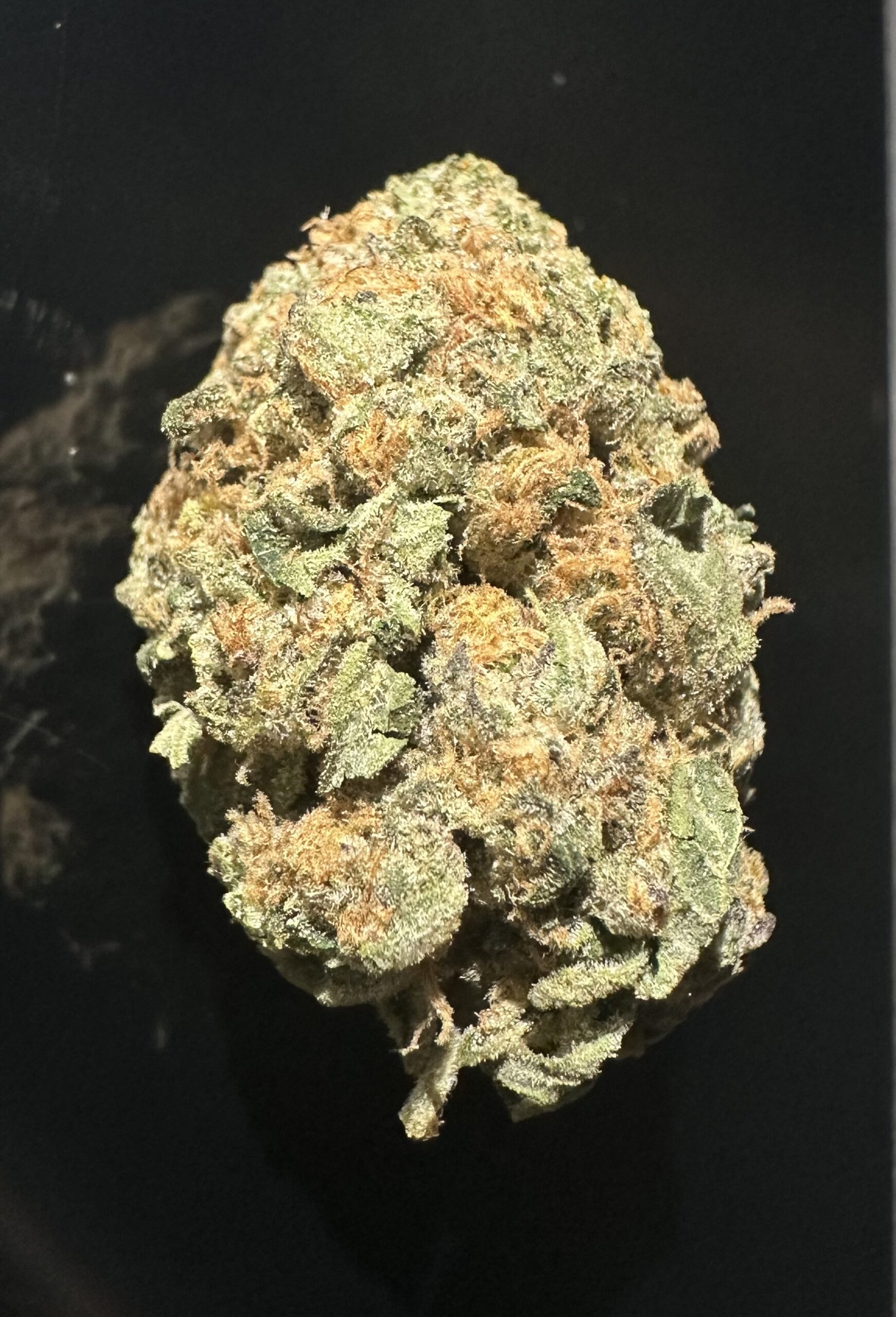 VALLEYGIRLNOV2025 VALLEY GIRL - Image 1