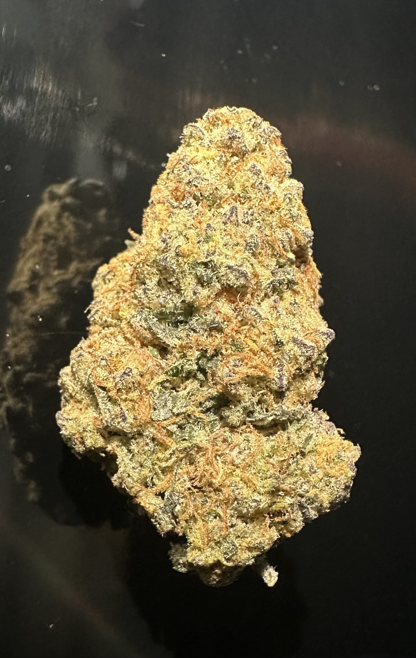 BANANAKUSHFEB26 BANANA KUSH - Image 1