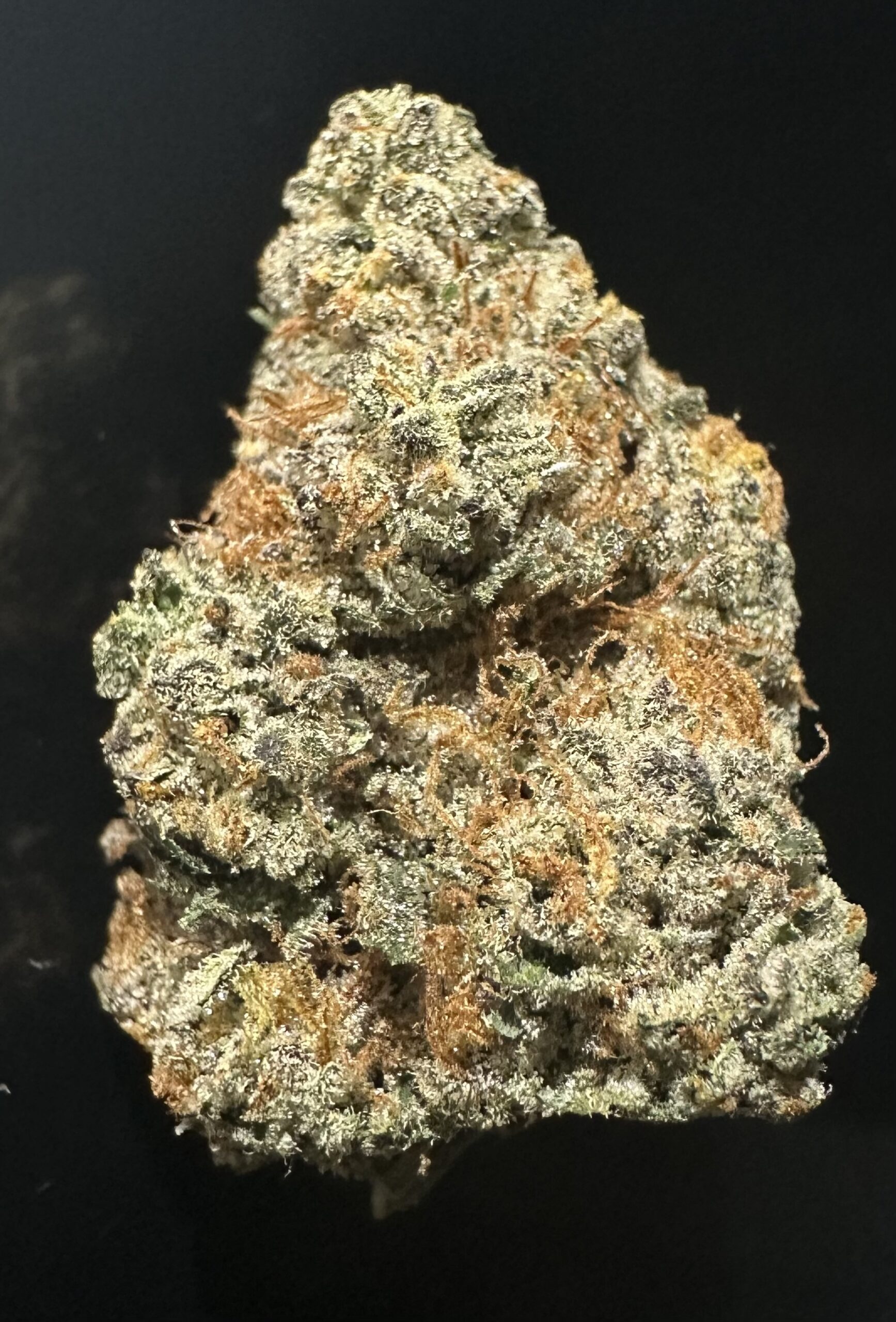 COBRACHIFEB26 COBRA CHI - Image 1