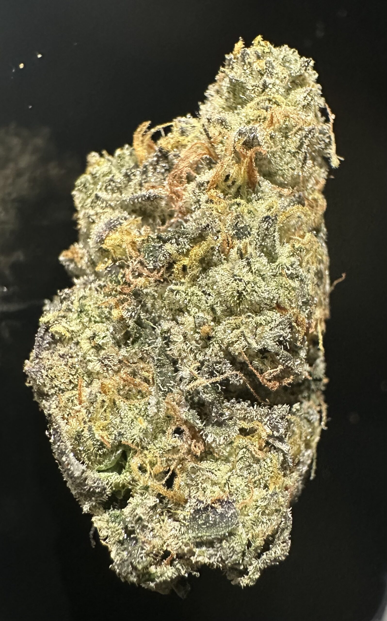 DIRTYGIRLFEB26 DIRTY GIRL - Image 1