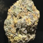 PURPLE JET FUEL
