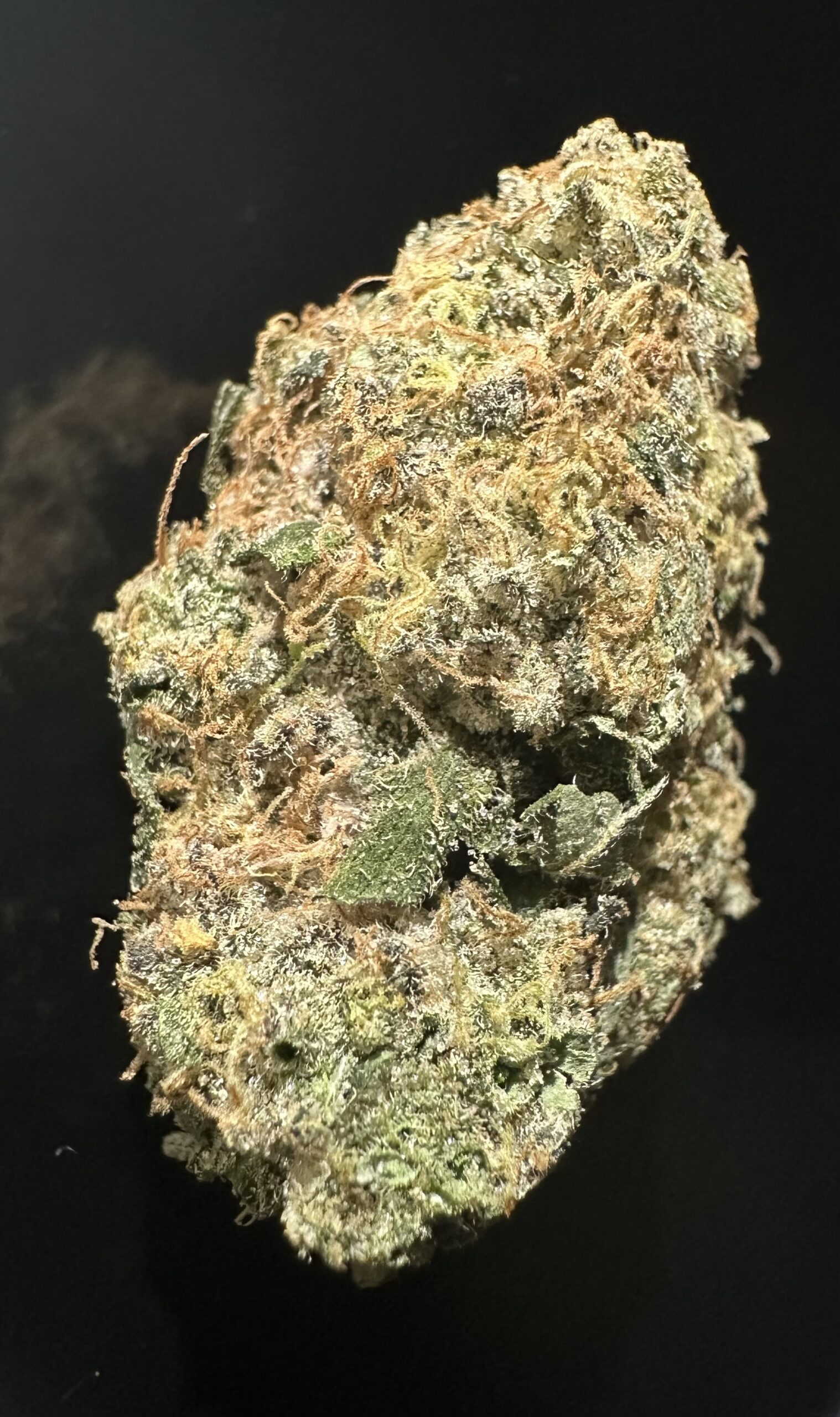 VIOLETFLAMEFEB26 VIOLET FLAME - Image 1