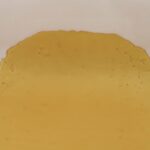 Future Wife House Shatter