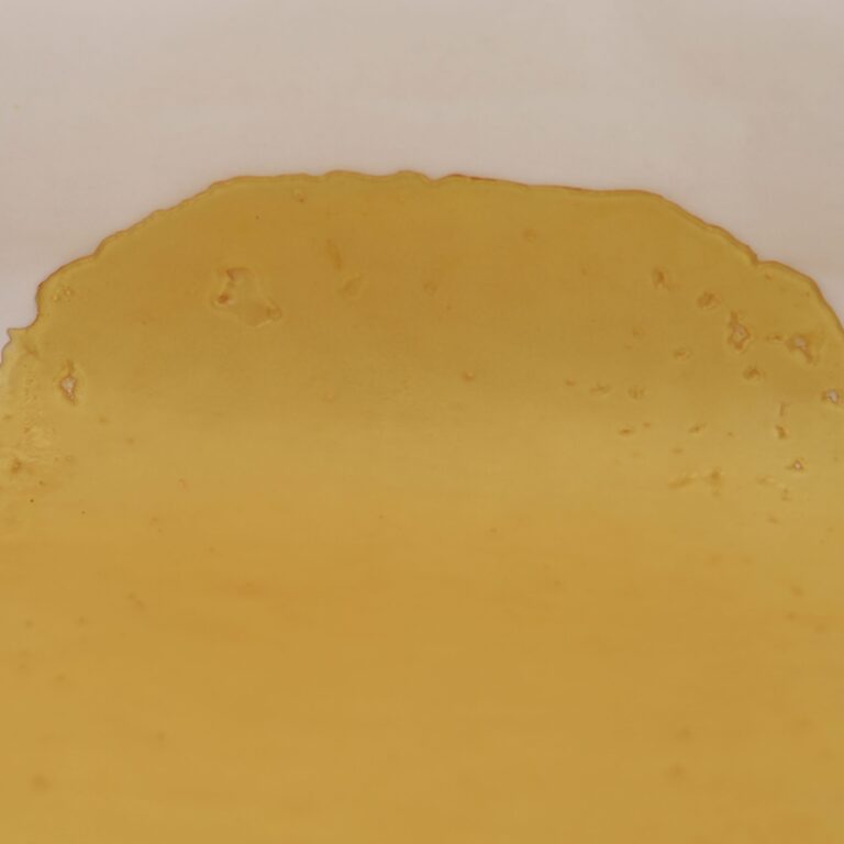 Future Wife House Shatter