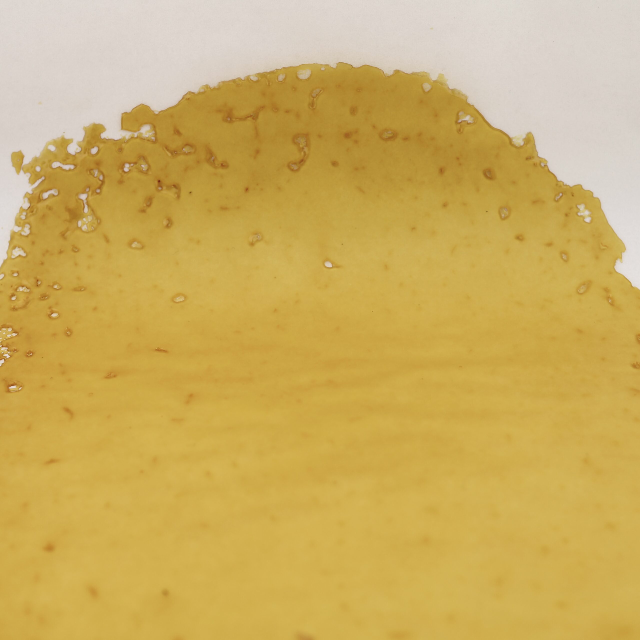 GARLICSATINSHATTER Garlic Satin House Shatter - Image 1