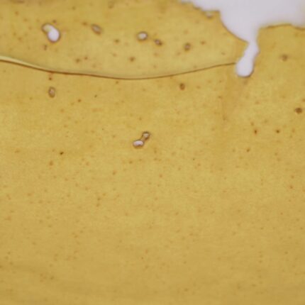 Godfather OG House Shatter