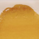 Pink Pussy House Shatter