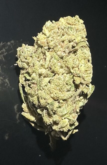 BLACK TUNA