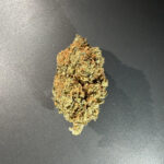 DURBAN POISON