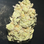 GREEN MONSTER