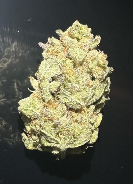 GREEN MONSTER