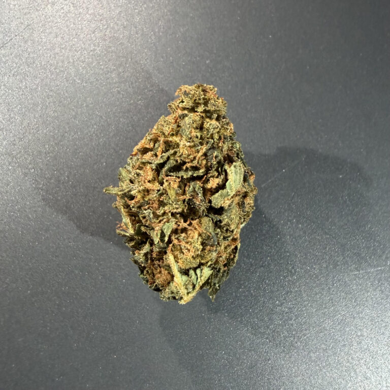 JACK HERER