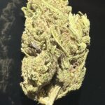 MANGO HAZE