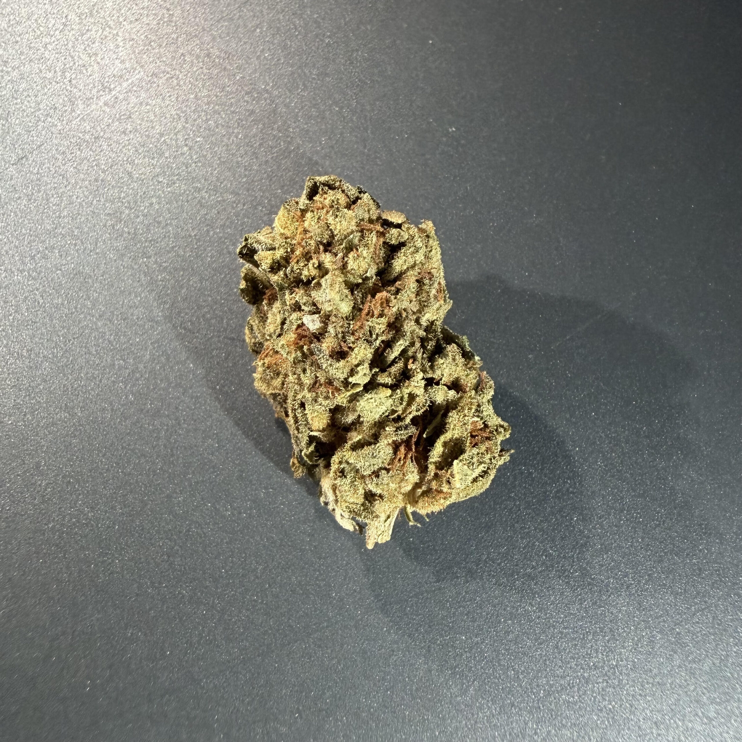 SILVERHAZEAPR26-1 SILVER HAZE - Image 1