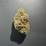 TROPICANNA POISON