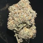 TROPICANNA POISON