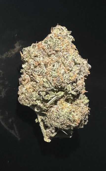 TROPICANNA POISON