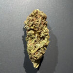 CALI BUBBA