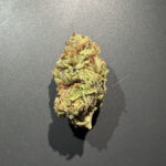 JURASSIC PURP