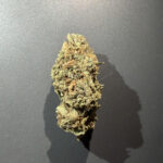 PINK ALIEN