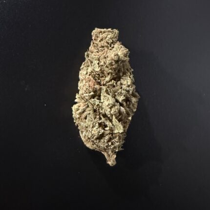 COCO LOCO