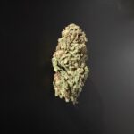 JAMAICAN DREAM