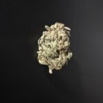 MASTER KUSH