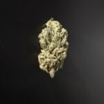 SOUR BANANA