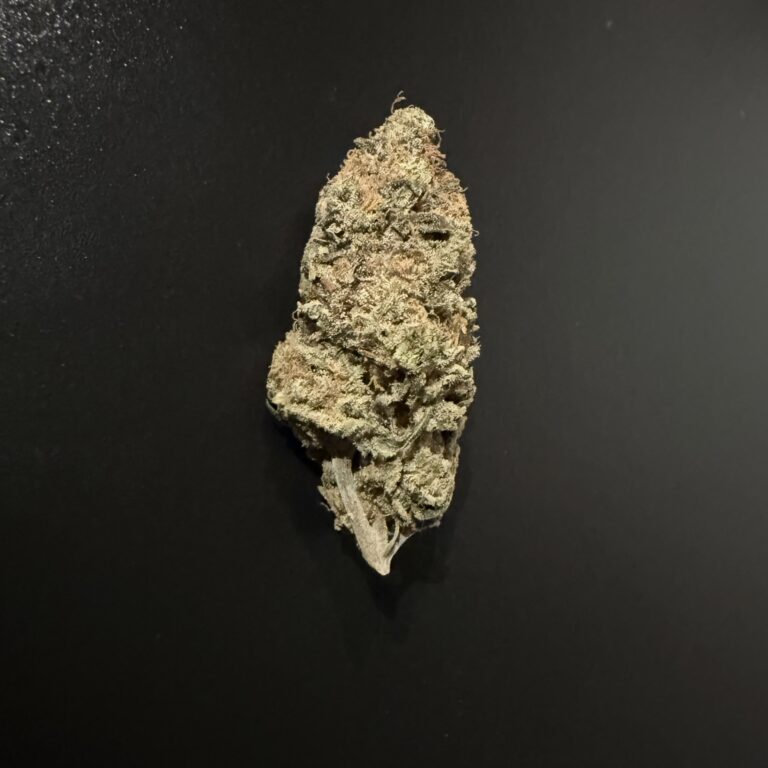 COSMONAUT