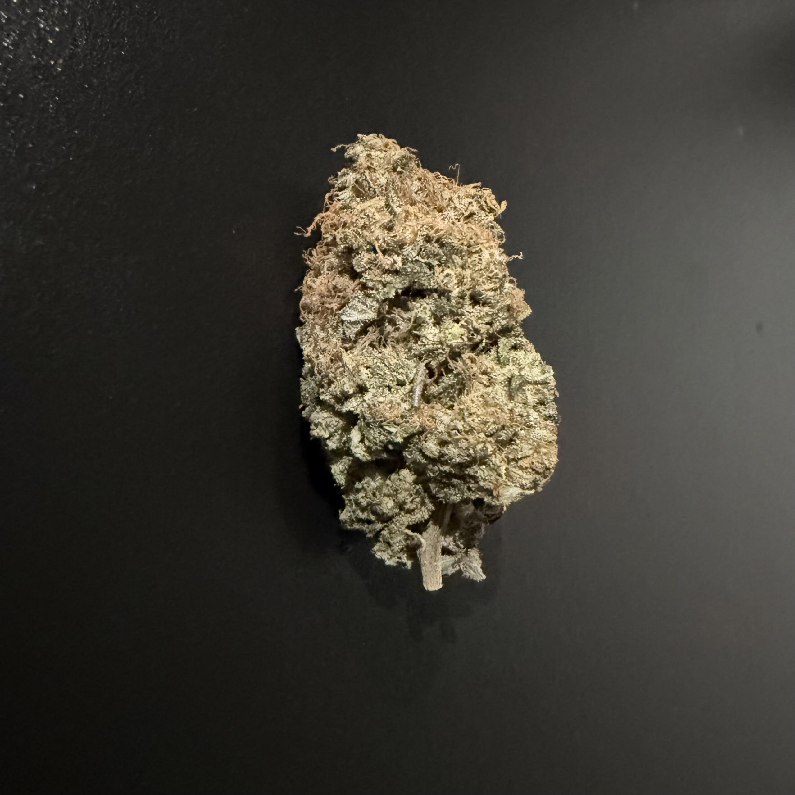 PINK DIESEL